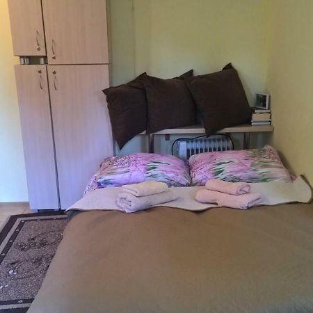 Roberto Apartamentai 帕兰加 外观 照片
